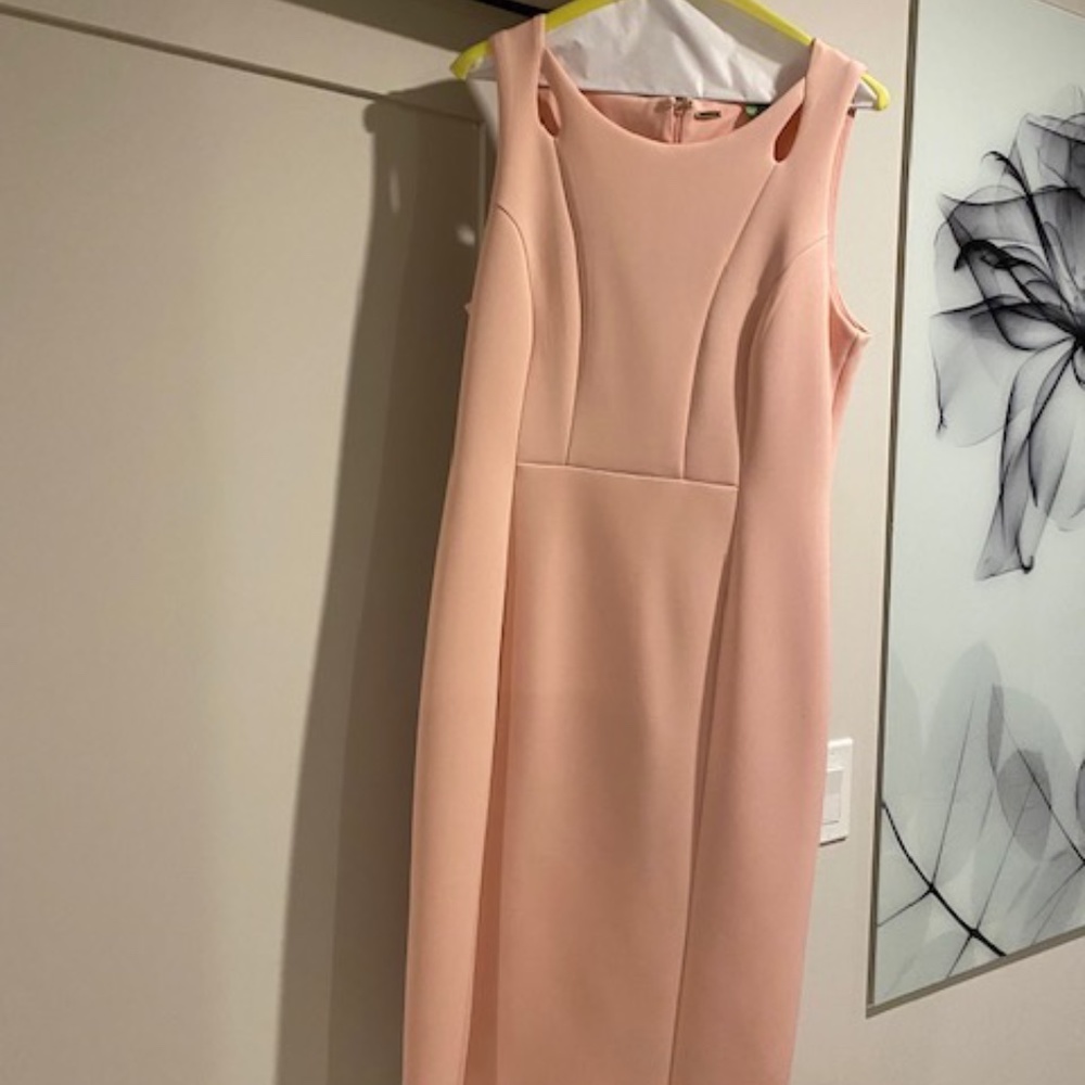 Tahari  Pink dress
